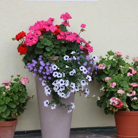 Ubytování v soukromí Steigerhof Neukirchen am Großvenediger